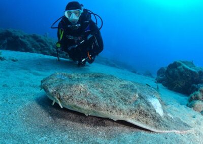 Buceo en Lanzarote, kayak, padle surf y snorkel buceo lanzarote windblue sports 19