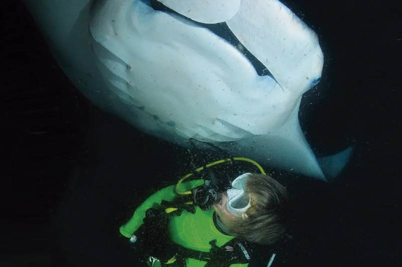 Buceo en Lanzarote, kayak, padle surf y snorkel buceo nocturno