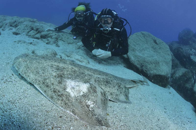 Buceo en Lanzarote, kayak, padle surf y snorkel buceo para avanzados