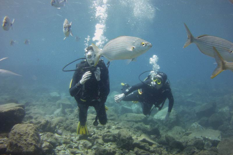 Buceo en Lanzarote, kayak, padle surf y snorkel buceo para principiantes