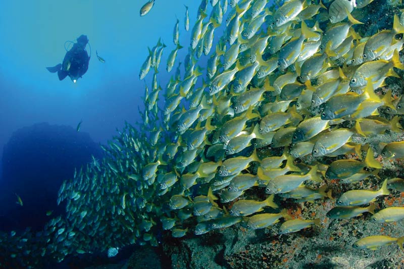 Buceo en Lanzarote, kayak, padle surf y snorkel flotabilidad