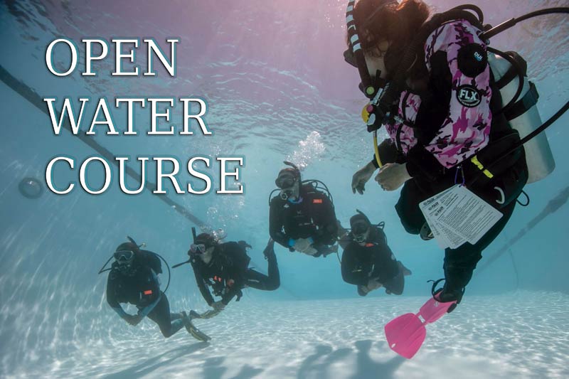 Curso Open water diver Lanzarote PADI